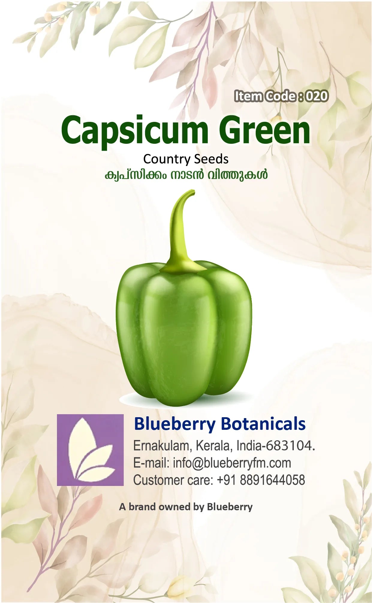 Green Capsicum Seeds Country Variety 20 Pack - Premium Quality-Blueberry Botanicals