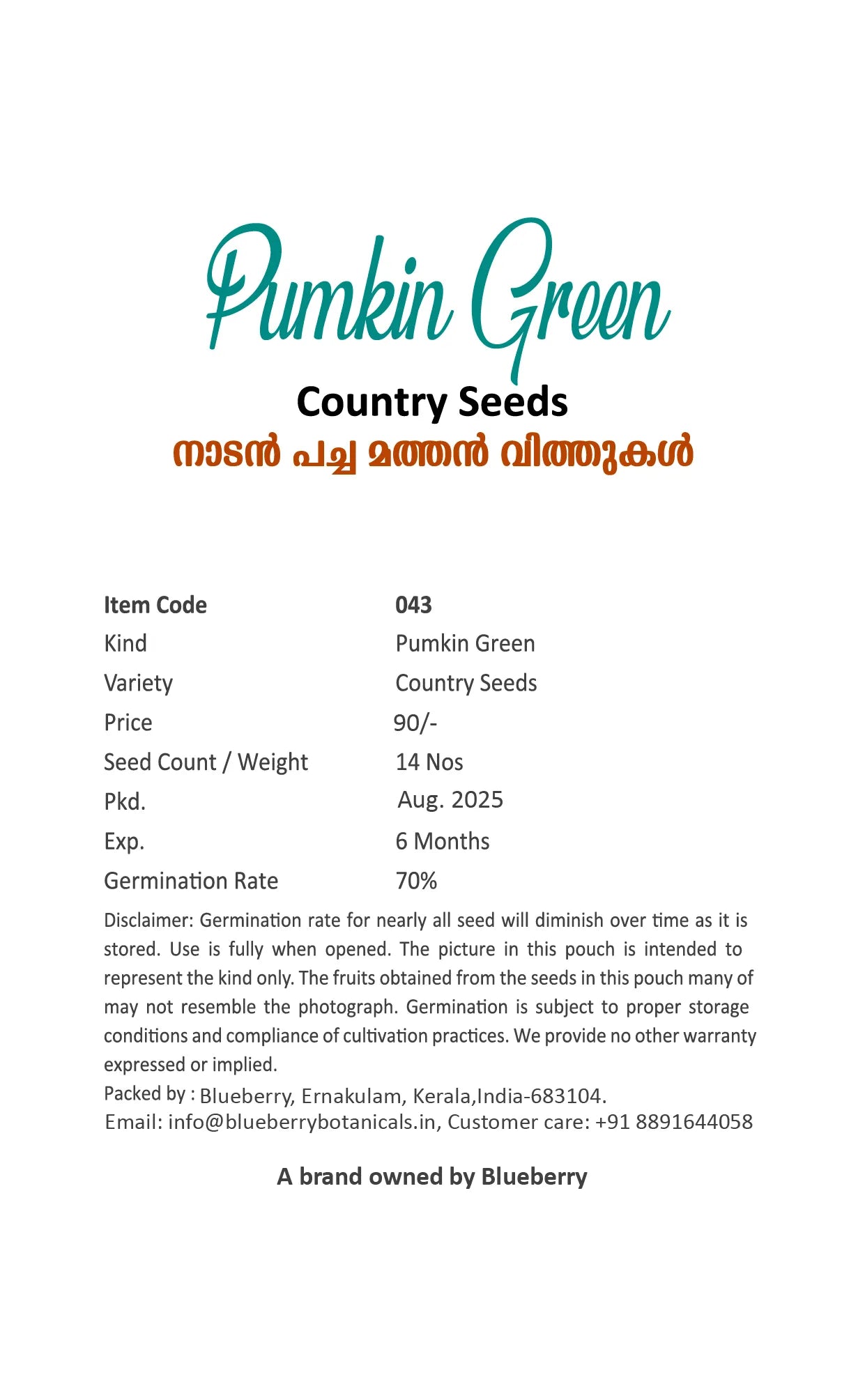 Pumpkin Seeds Green 14pcs - Country Variety Climbing Vine- Blueberry Botanicals