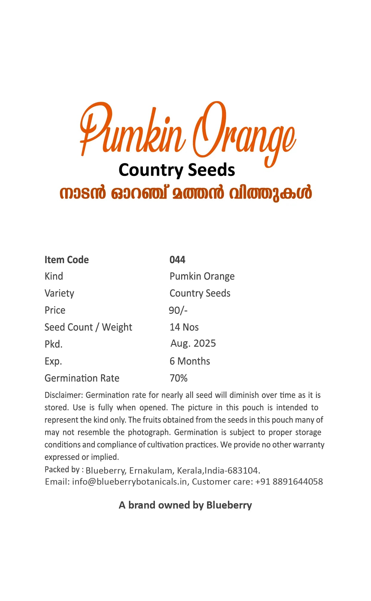 Pumpkin Seeds Orange 50pcs - Country Variety Climbing Vine- Blueberry Botanicals