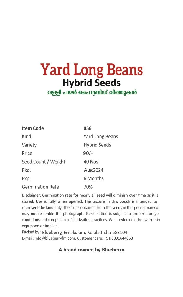 Yard Long Beans Seeds 40pcs - Hybrid Climbing Extra Long- Blueberry Botanicals