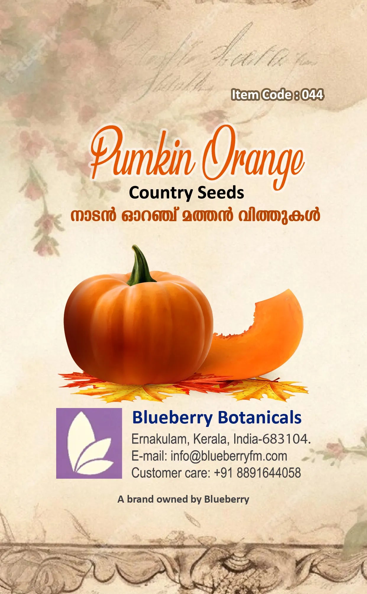Pumpkin Seeds - Orange Country Variety 50 Seeds | Blueberry Botanicals