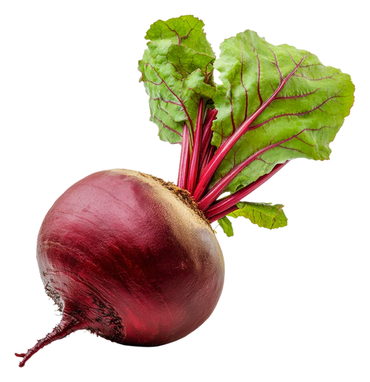 Beetroot Seeds 70pcs - Country Variety Sweet Red Roots-Blueberry Botanicals