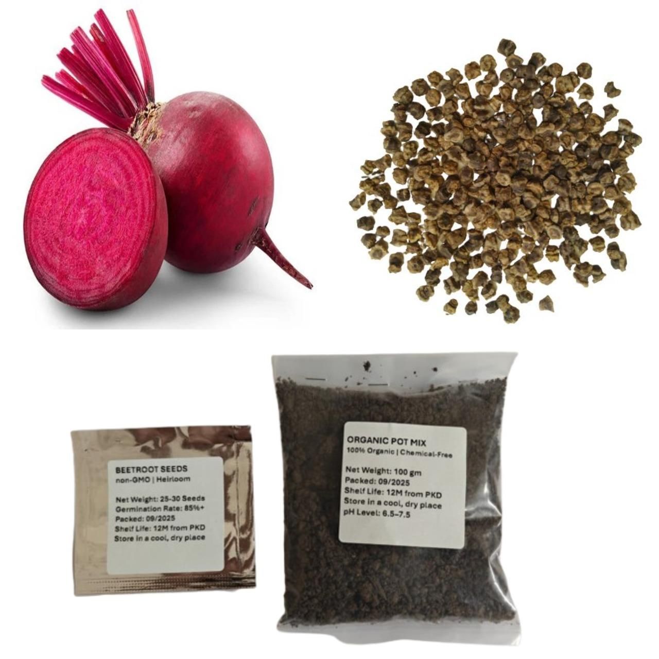 beetroot-seeds-pcs-high-yielding-beta-vulgaris-free-organic-pot-mix-blueberry-botanicals