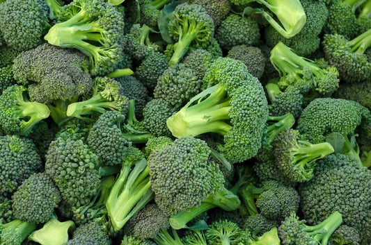 Broccoli Seeds Country Variety 60 Pack - Premium Quality- Blueberry Botanicals