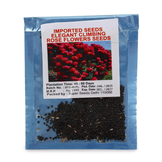 Climbing Rose Seeds - Elegant Garden Flowers | Blueberry Botanicals