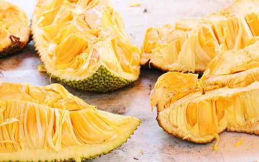 seedless-jackfruit-plants-30cm-blueberry-botanicals