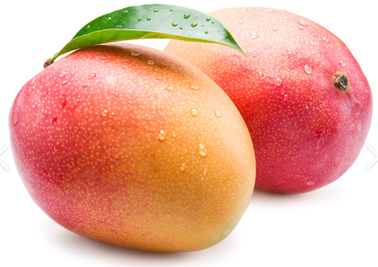 Sindooram Mango 30cm | Kerala Red | Blueberry Botanicals