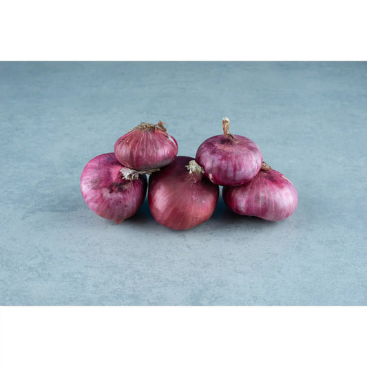 small-onion-seeds-co-variety-gms-pack-shallot-multiplier-blueberry-botanicals