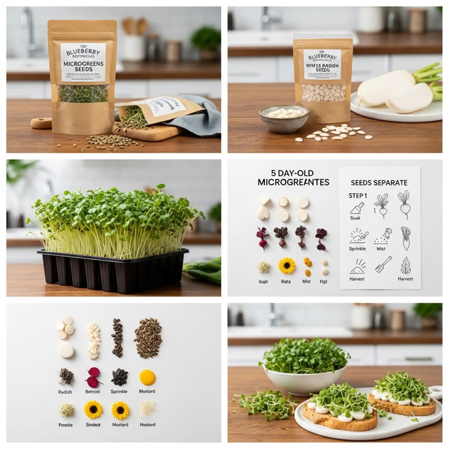 White Radish Microgreens Seeds 100g – Crisp Peppery Greens – Premium Quality