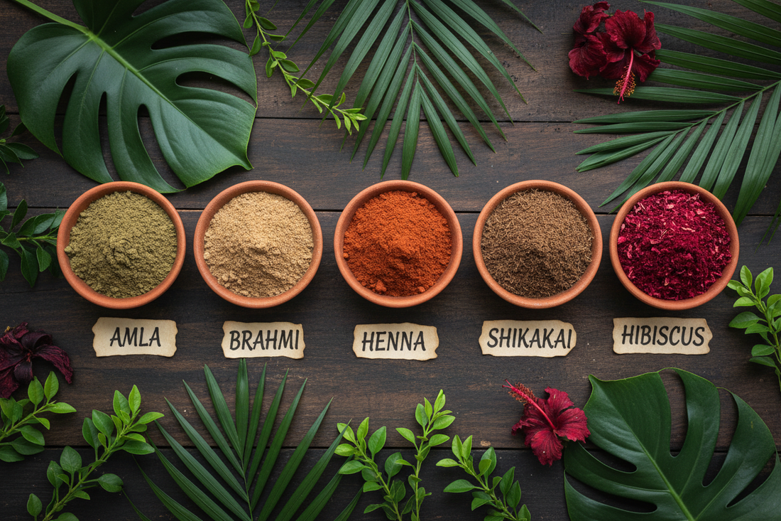 5 Traditional Kerala Herbal Powders for Healthy Hair — Complete Guide