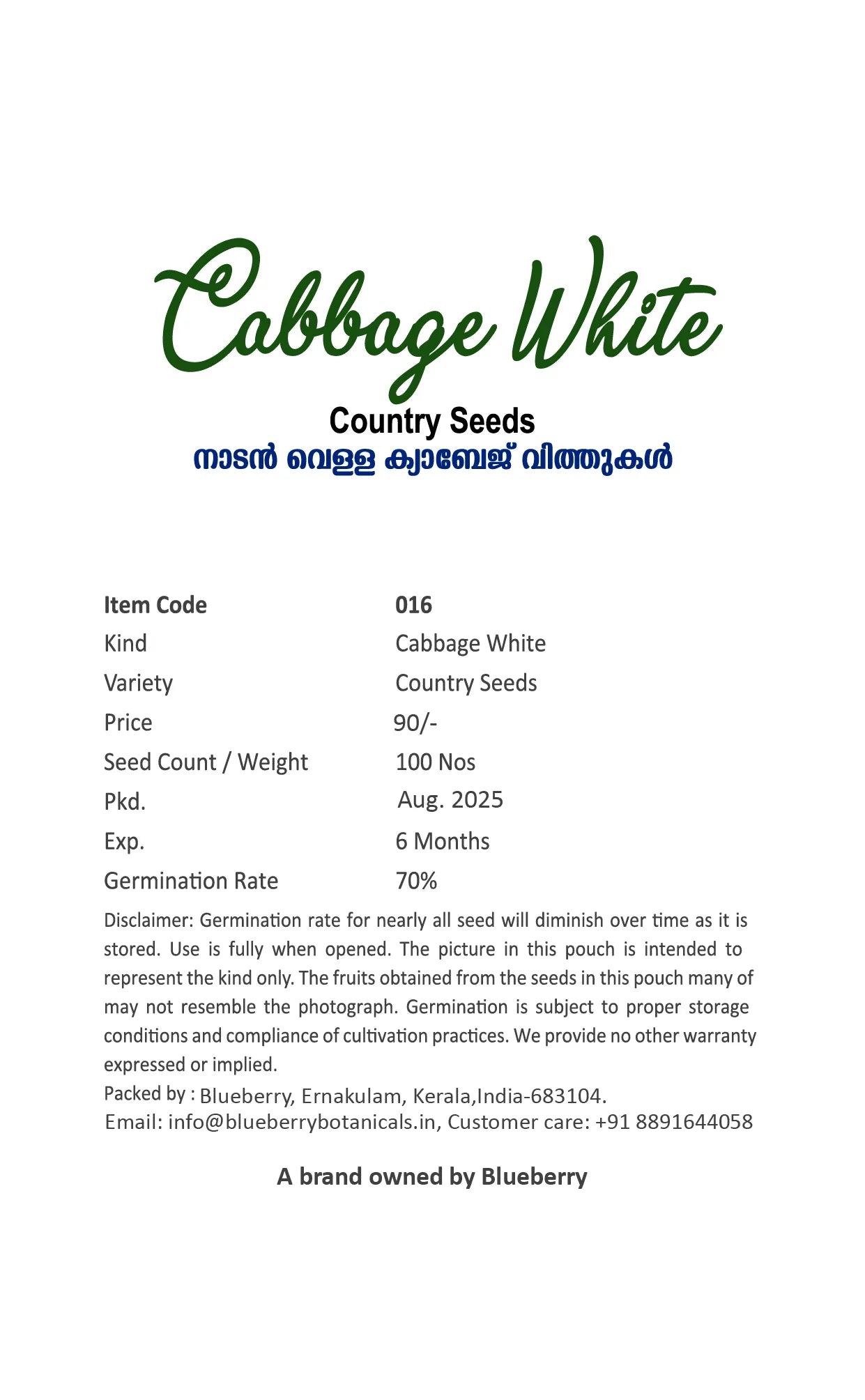 Cabbage Seeds White 100pcs - Country Variety Cool Season- Blueberry Botanicals