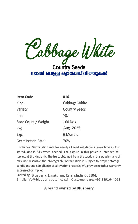 Cabbage Seeds White 100pcs - Country Variety Cool Season- Blueberry Botanicals
