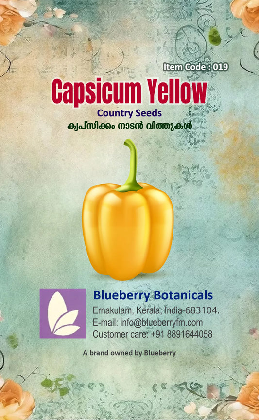 Yellow Capsicum Seeds Country Variety 20 Pack - Premium Quality-Bueberry Botanicals