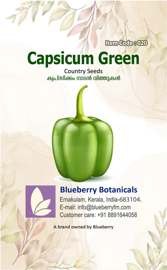 Green Capsicum Seeds Country Variety 20 Pack - Premium Quality-Blueberry Botanicals