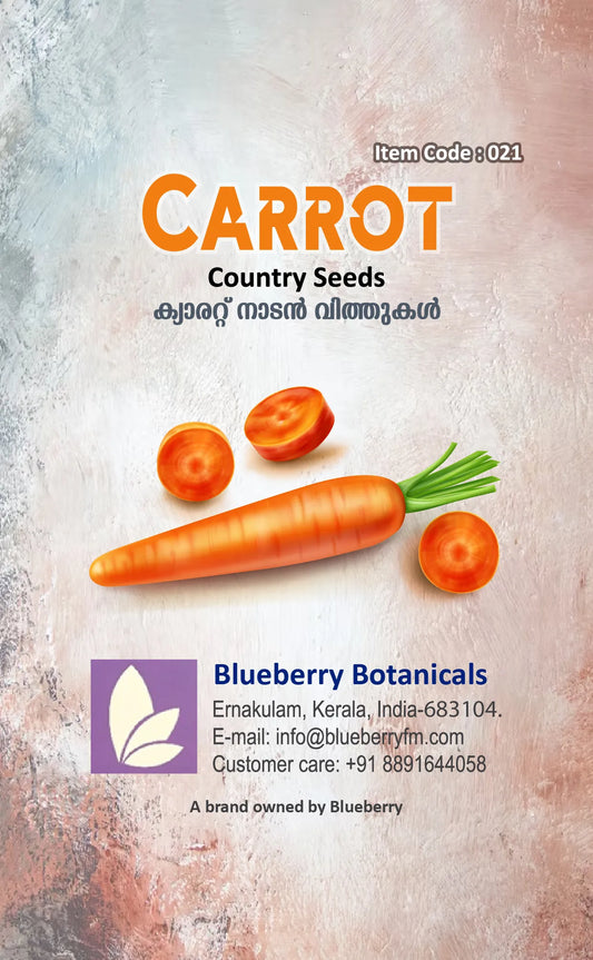 Carrot Seeds Country Variety 60pcs - Sweet Orange Roots- Blueberry Botanicals