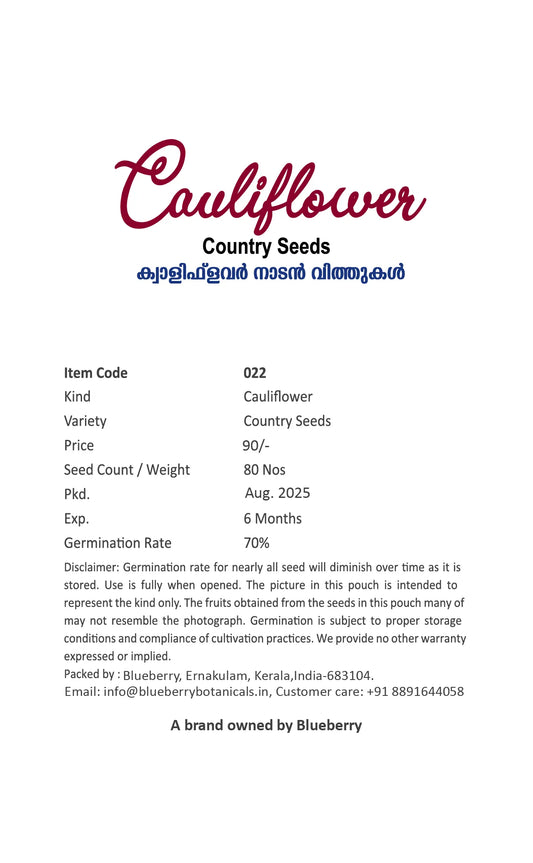 Cauliflower Seeds 80pcs - Country Variety Cool Season- Blueberry Botanicals