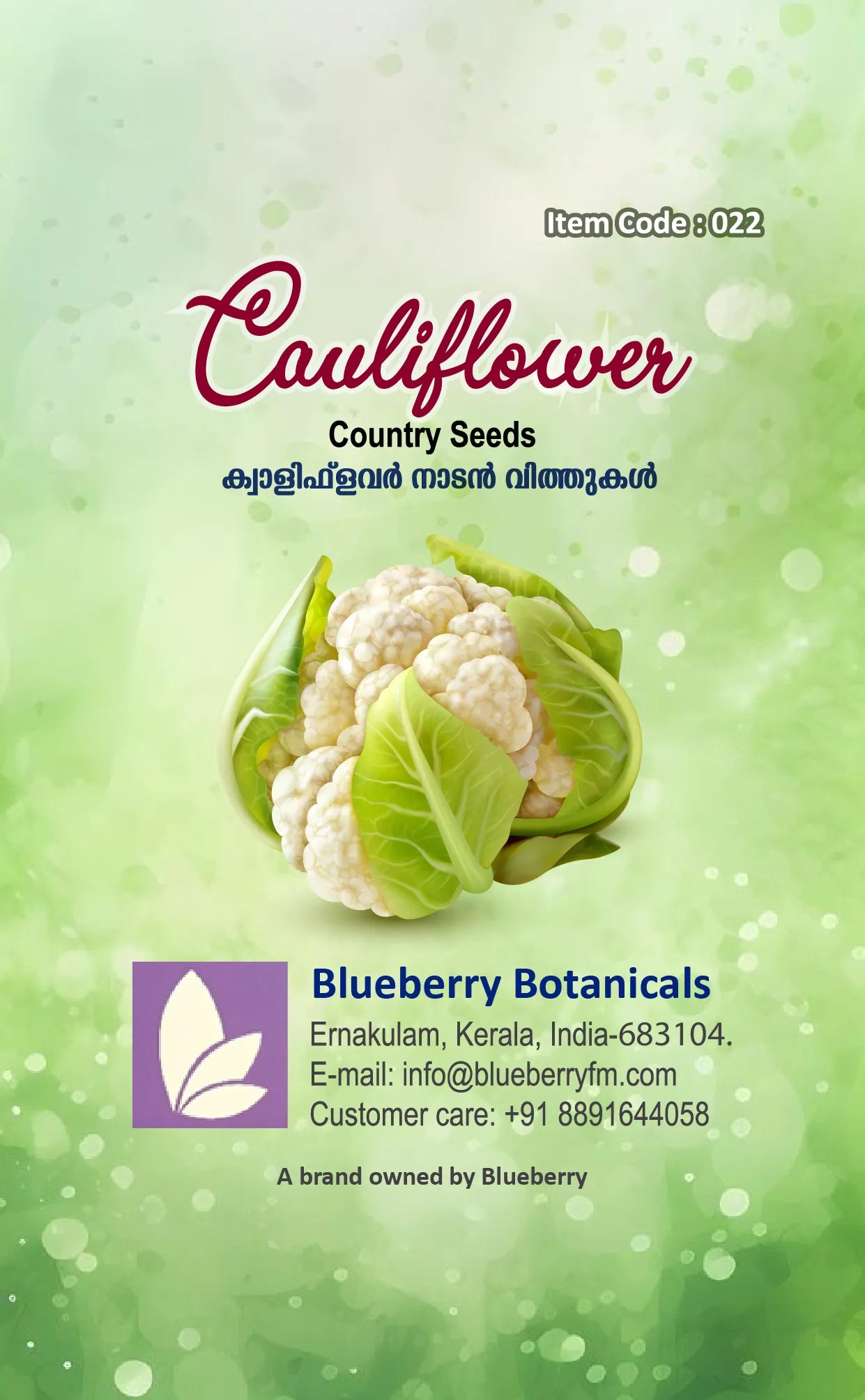 Cauliflower Seeds 80pcs - Country Variety Cool Season- Blueberry Botanicals