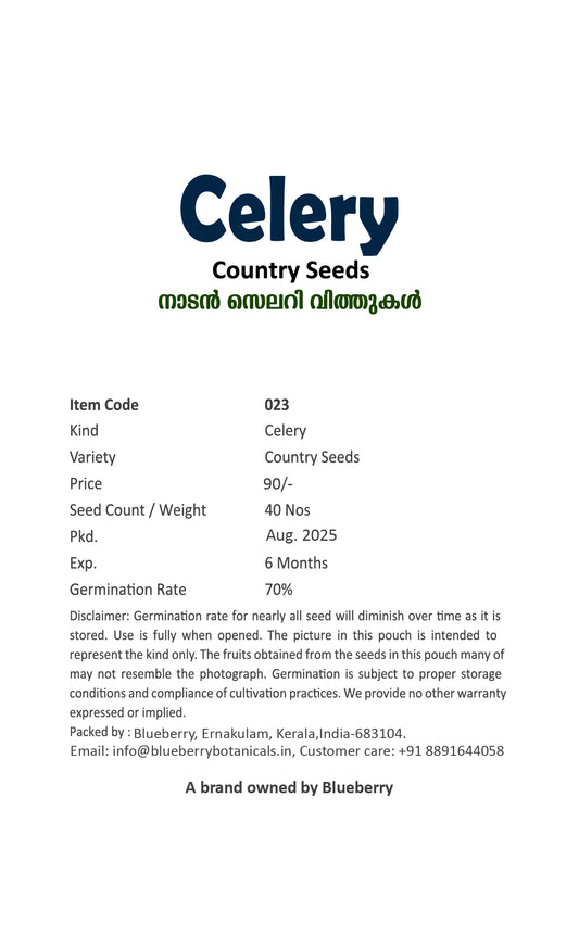 Celery Seeds - Country Variety 40 Seeds | Blueberry Botanicals