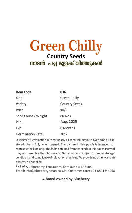 Green Chilly Seeds 80pcs - Country Variety Hot Spicy- Blueberry Botanicals