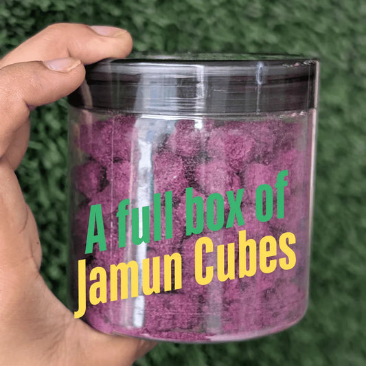 Jamun Cubes 100g Freeze Dried - Premium Quality Indian Blackberry Snack-Blueberry Botanicals