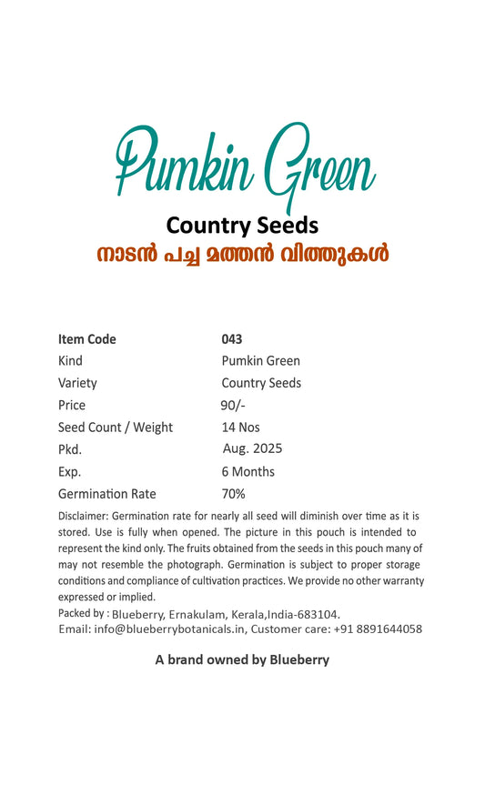 Pumpkin Seeds Green 14pcs - Country Variety Climbing Vine- Blueberry Botanicals
