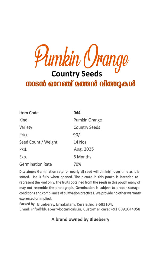 Pumpkin Seeds Orange 50pcs - Country Variety Climbing Vine- Blueberry Botanicals