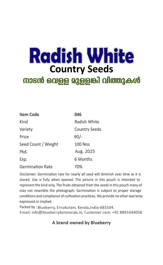 White Country Radish Seeds 100pcs - Fast Growing Cool Season-Blueberry Botanicals