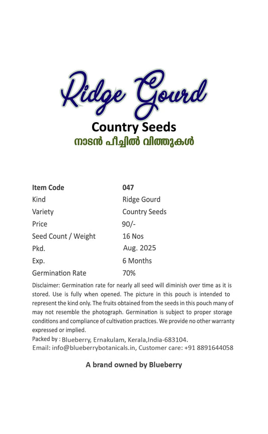 Ridge Gourd Seeds 16pcs - Country Variety Climbing Vine- Blueberry Botanicals