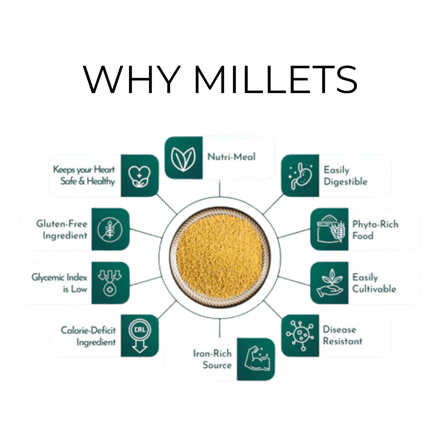 Millet Biryani 100g - Healthy Freeze Dried Meal Ready- Blueberry Botanicals