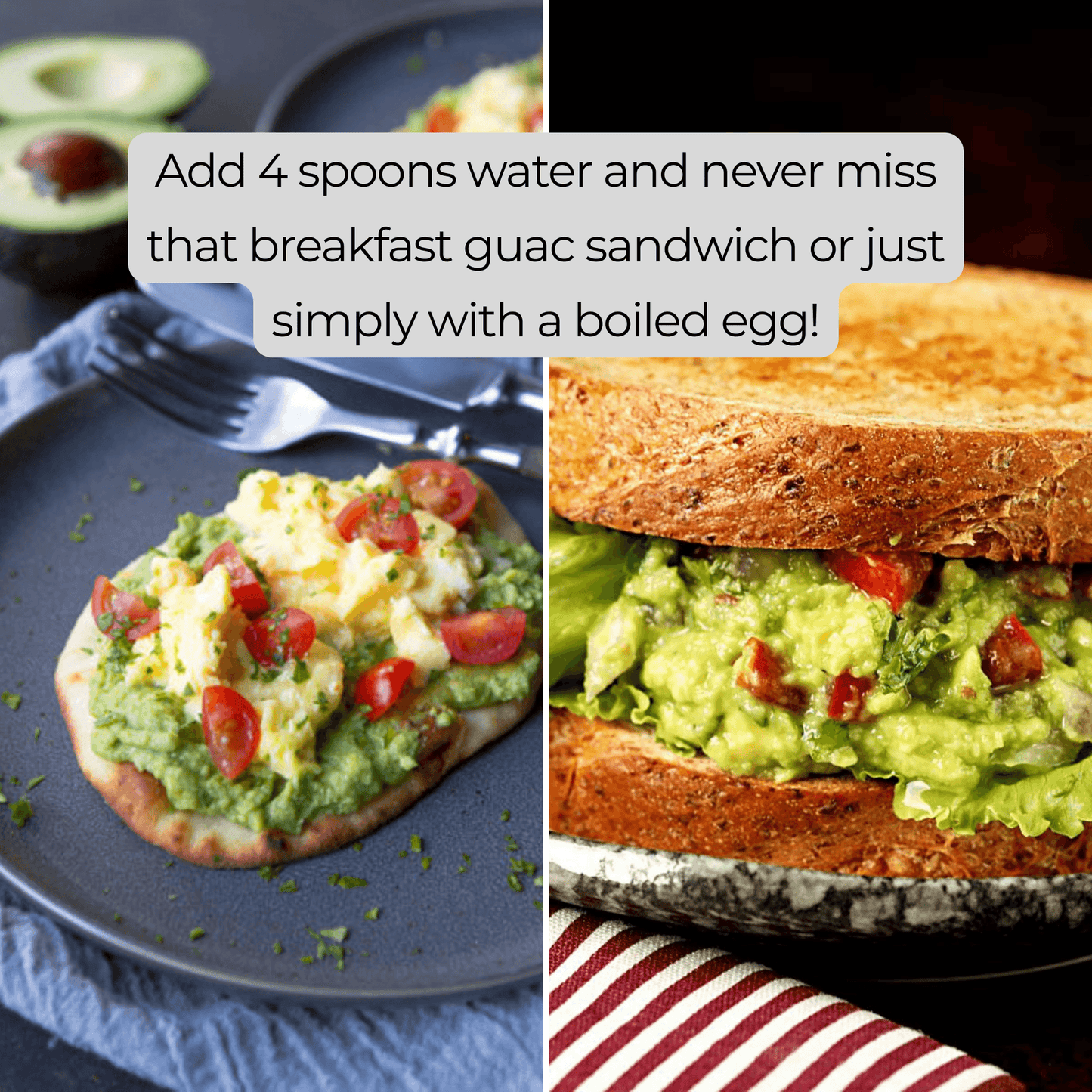 Guacamole 100g - Instant Freeze Dried Ready to Eat- Blueberry Botanicals