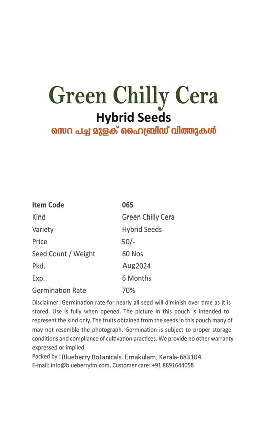 Green Chilly Seeds 60pcs - Cera Variety SHU 15000-30000- Blueberry Botanicals