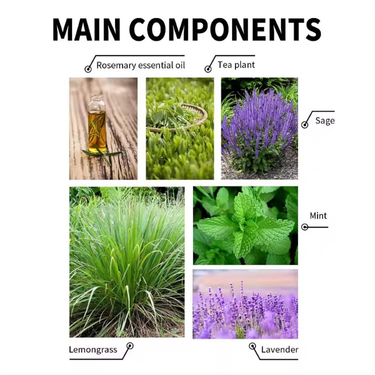 Authentic Ayurvedic Hair Wellness Serum 30ml - Natural Hair Nourishment Pack of 2 | Blueberry Botanicals