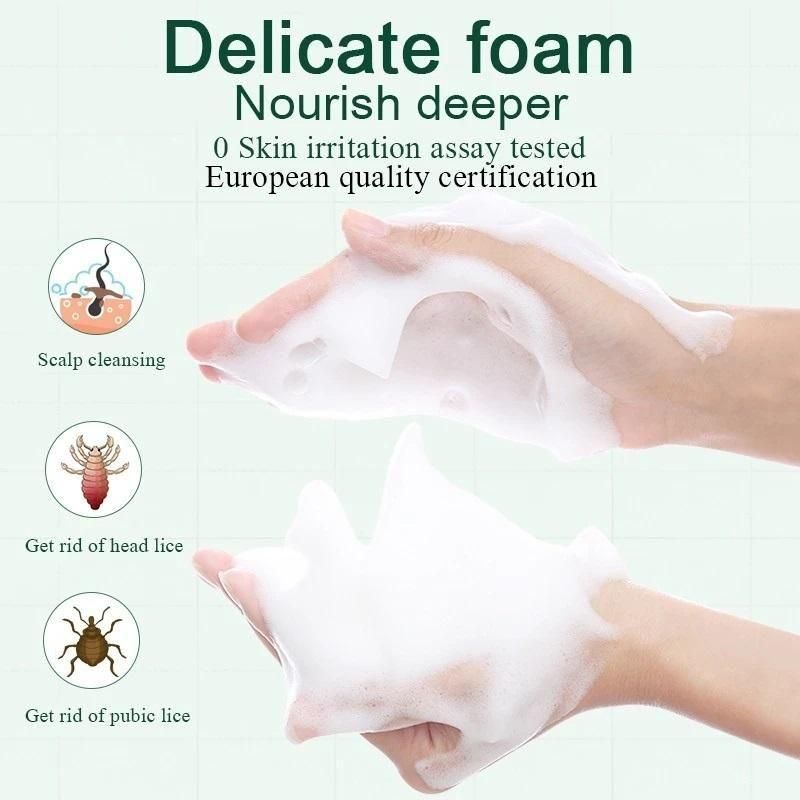 Authentic Plant-Based Scalp Care Shampoo 100ml Pack of 2 | Blueberry Botanicals