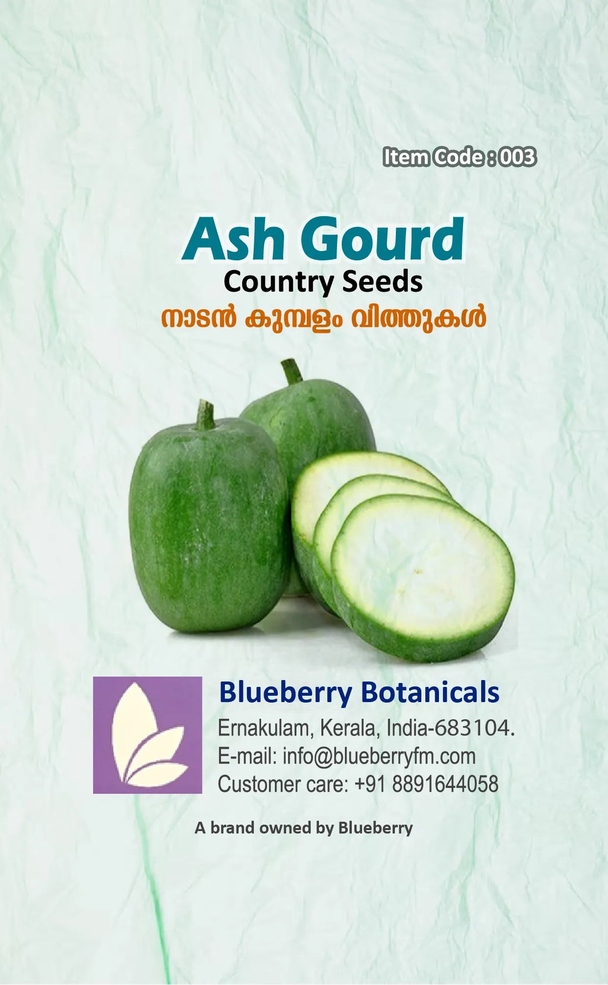 Ash Gourd Seeds - Winter Melon Country Variety 25 Seeds | Blueberry Botanicals