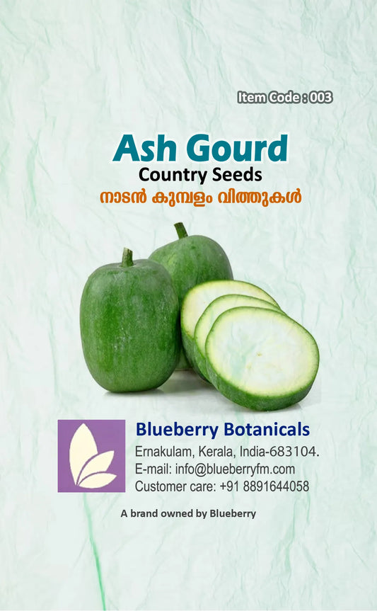 Ash Gourd Seeds - Winter Melon Country Variety 25 Seeds | Blueberry Botanicals
