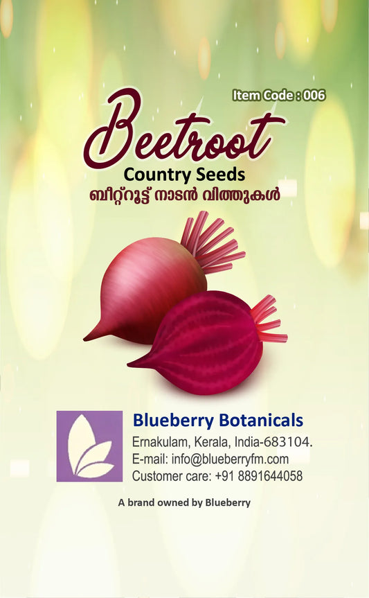 Beetroot Seeds - Country Variety 70 Seeds | Blueberry Botanicals