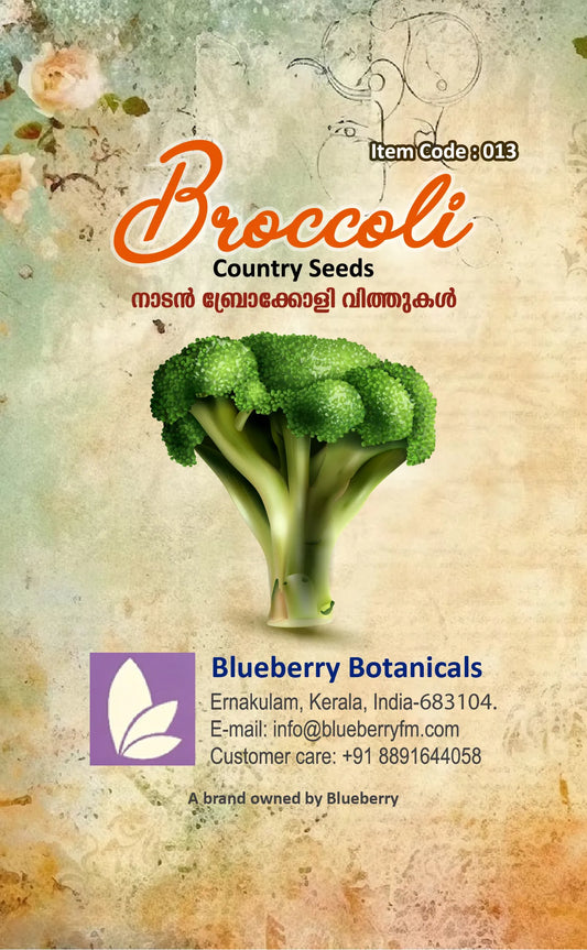 Broccoli Seeds - Country Variety 60 Seeds India | Blueberry Botanicals