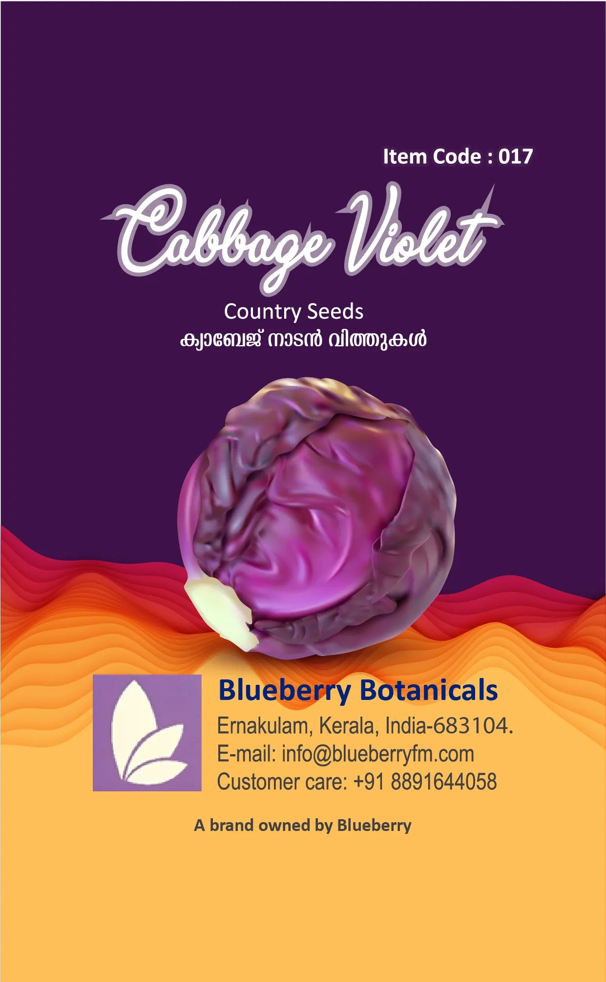 Cabbage Seeds Violet - Country Variety 100 Seeds | Blueberry Botanicals