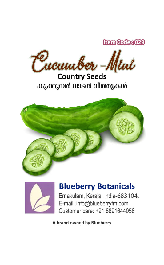 Cucumber Seeds - Mini Country Variety 25 Seeds | Blueberry Botanicals