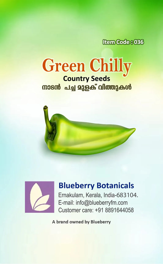 Green Chilly Seeds - Country Variety 80 Seeds | Blueberry Botanicals