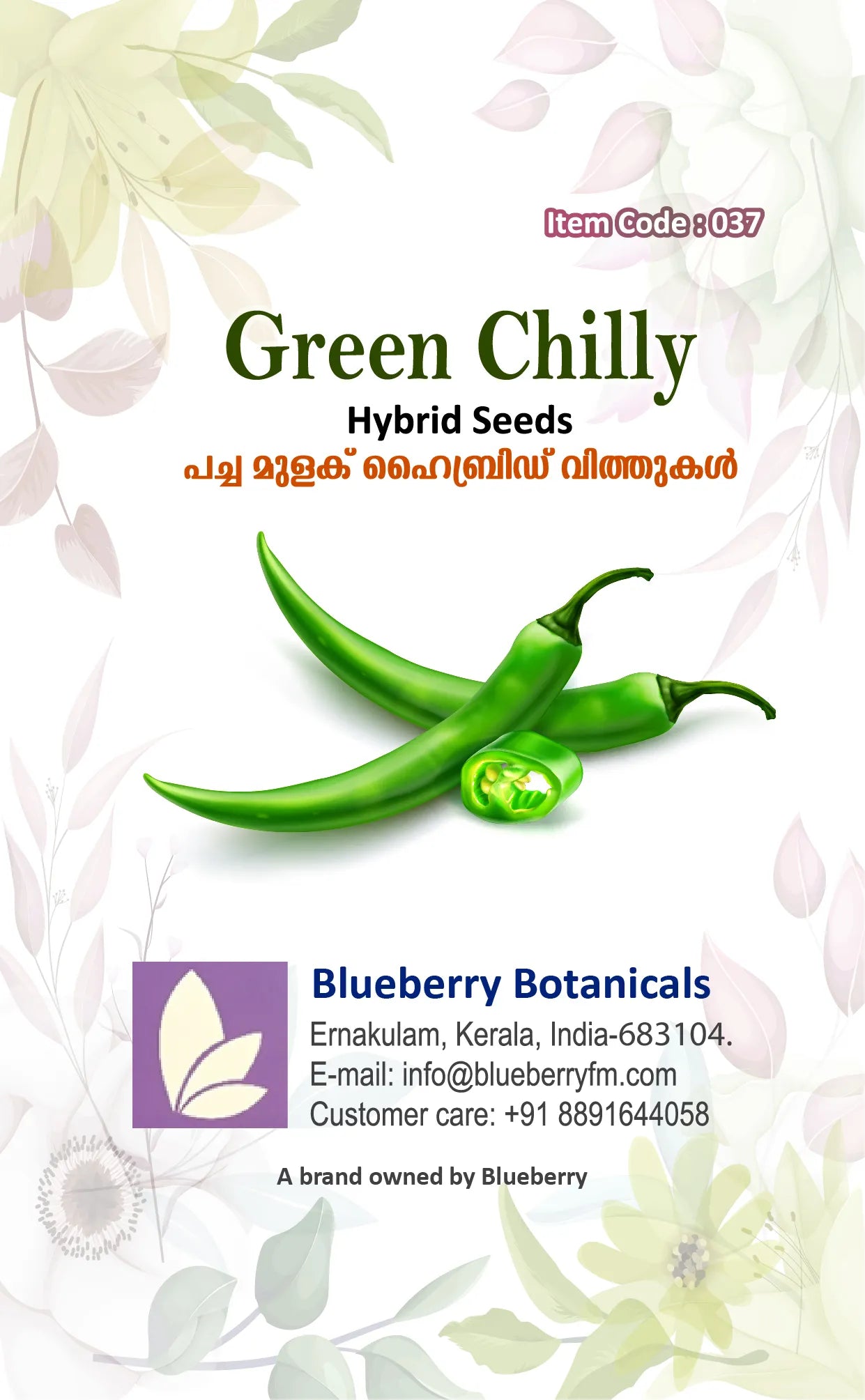 Green Chilly Seeds - Hybrid Variety 80 Seeds | Blueberry Botanicals