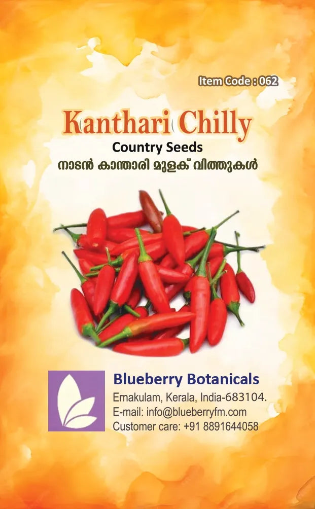 Kanthari Chilly Seeds - Red-Country Variety 20 Seeds | Blueberry Botanicals