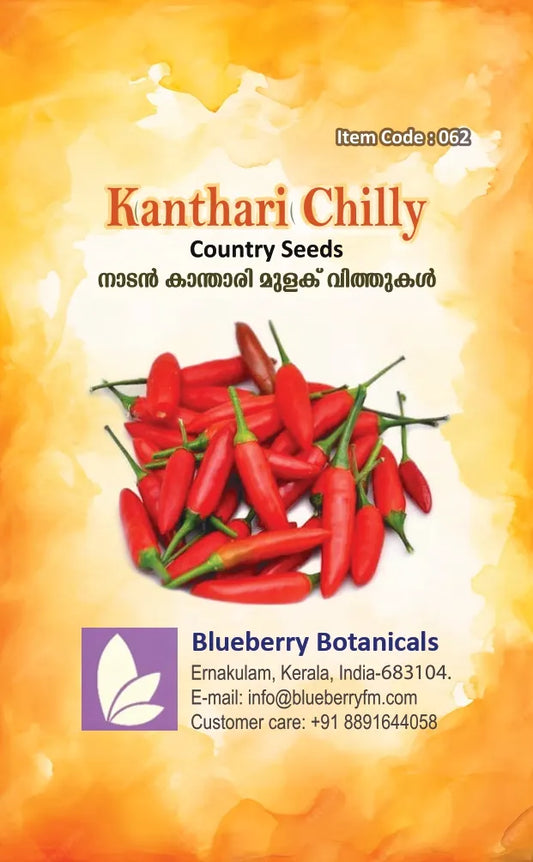 Kanthari Chilly Seeds - Red-Country Variety 20 Seeds | Blueberry Botanicals