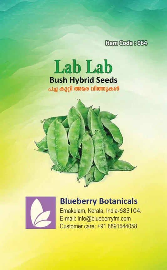 Lab Lab Seeds - Bush Hybrid Variety 20 Seeds | Blueberry Botanicals