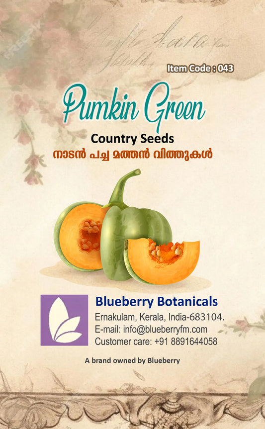 Pumpkin Seeds - Green Country Variety 14 Seeds | Blueberry Botanicals