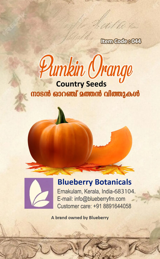 Pumpkin Seeds - Orange Country Variety 50 Seeds | Blueberry Botanicals