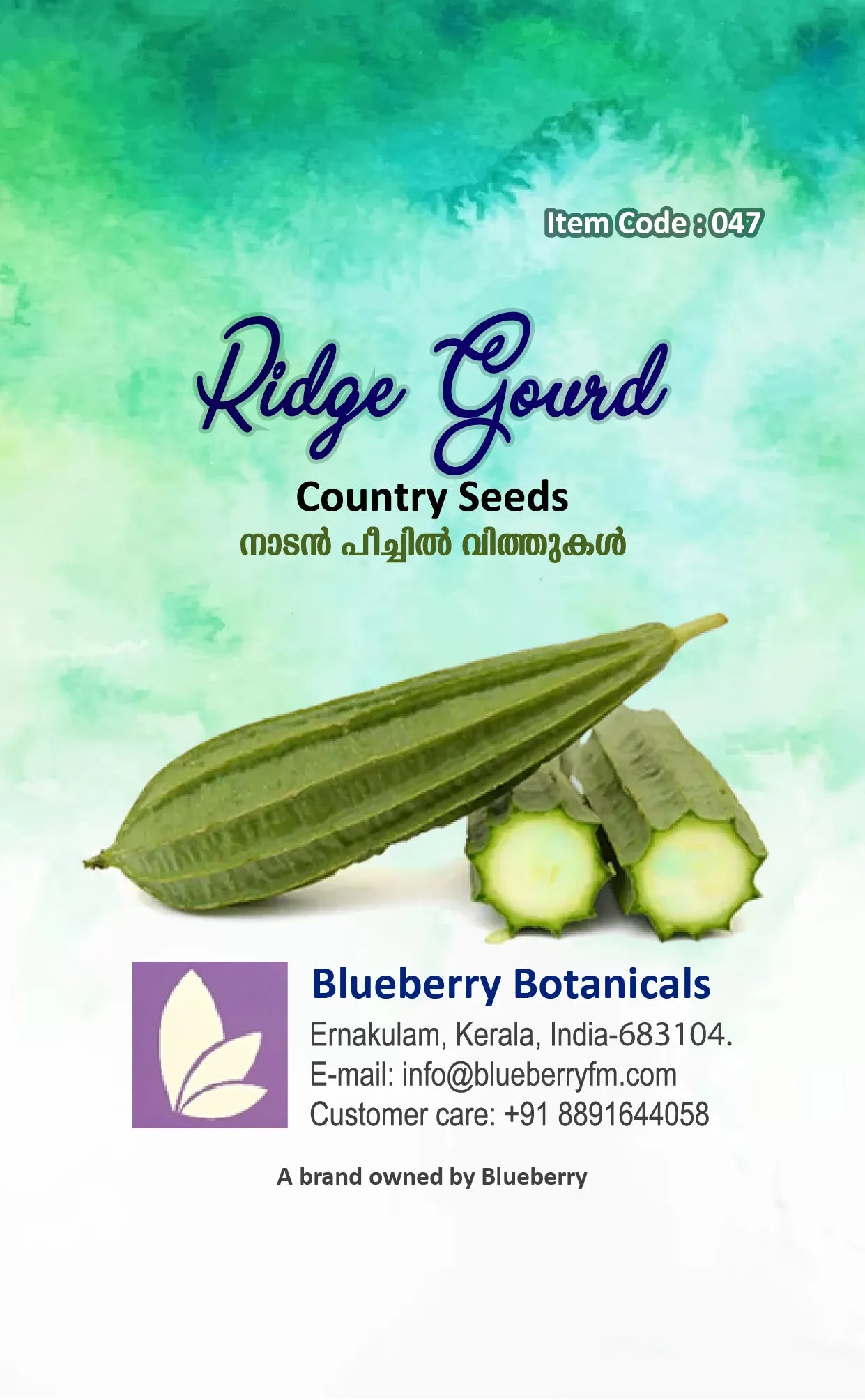 Ridge Gourd Seeds - Country Variety 16 Seeds | Blueberry Botanicals