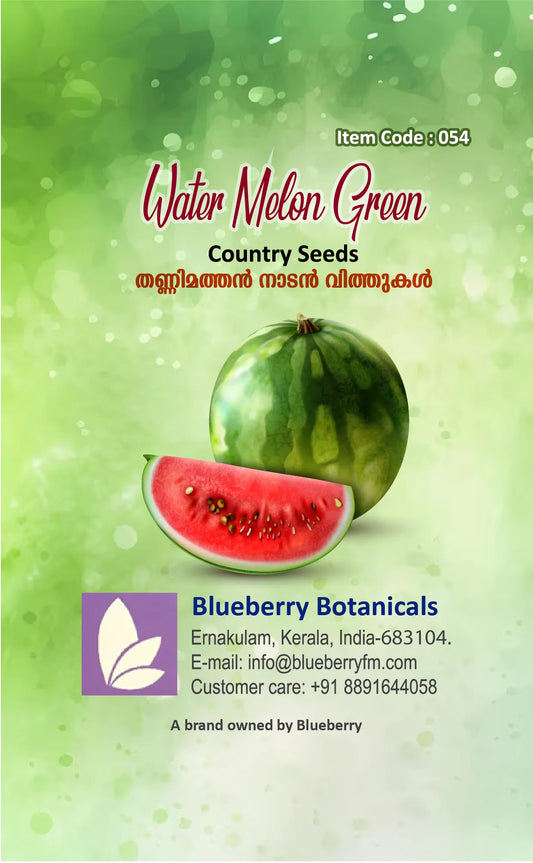 Watermelon Seeds - Green Country Variety 12 Seeds | Blueberry Botanicals