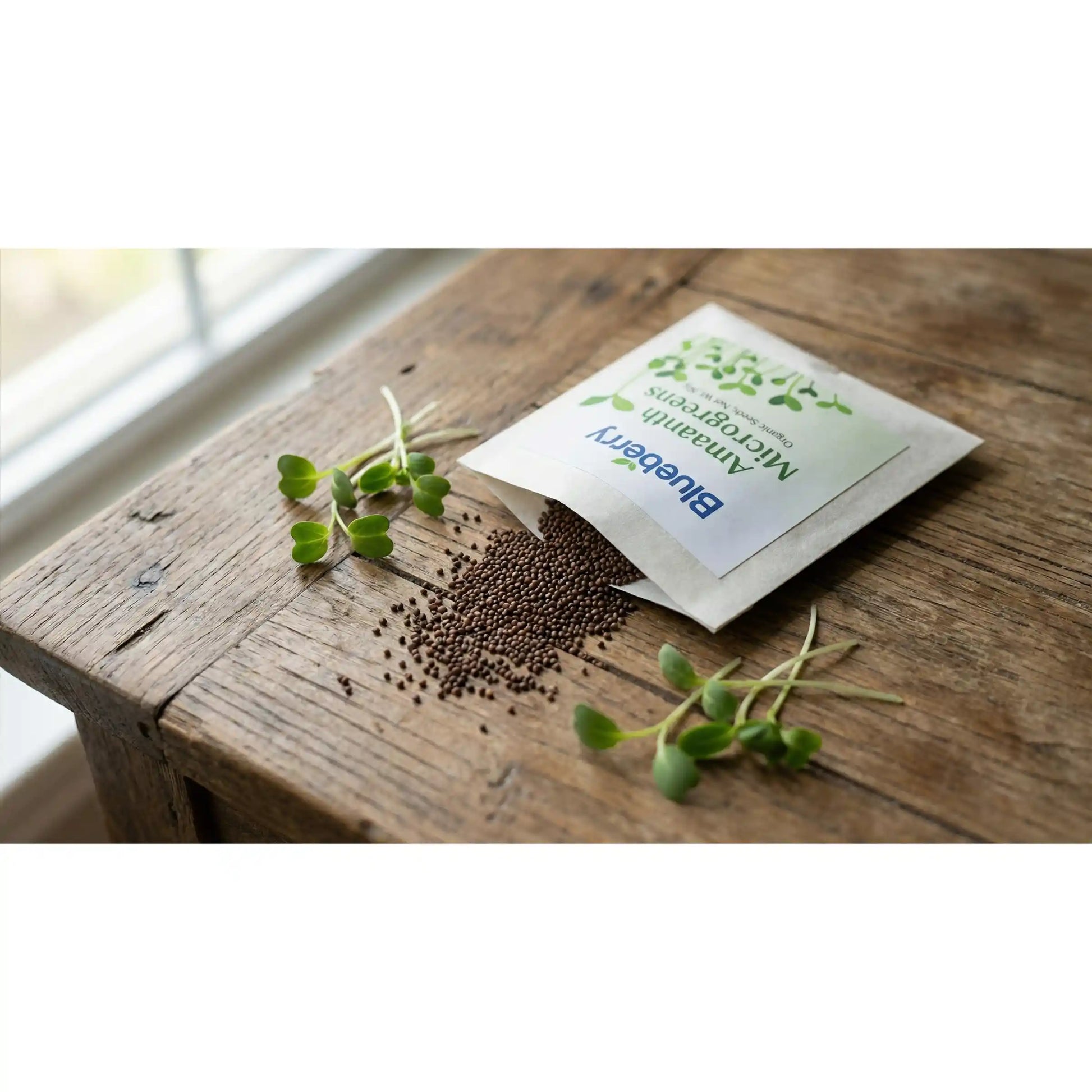 Amaranth Microgreens Seeds 100g – Fast-Growing, Nutrient-Dense Greens – Premium Quality