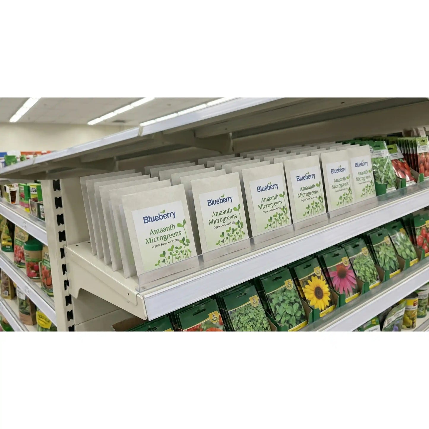 Amaranth Microgreens Seeds 100g – Fast-Growing, Nutrient-Dense Greens – Premium Quality